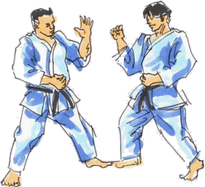 Karate Sport plaatjes 