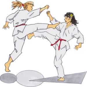 Karate Sport plaatjes 