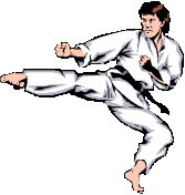 Karate Sport plaatjes 