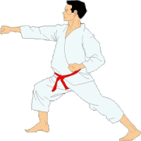 Karate Sport plaatjes 