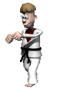 Sport plaatjes Kungfu 