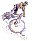 Sport plaatjes Mountainbiken 