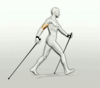 Nordic walking Sport plaatjes 
