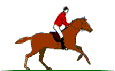 Paardensport Sport plaatjes 