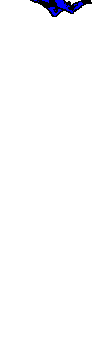 Sport plaatjes Paragliden 