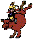 Sport plaatjes Rodeo 