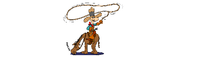 Sport plaatjes Rodeo 