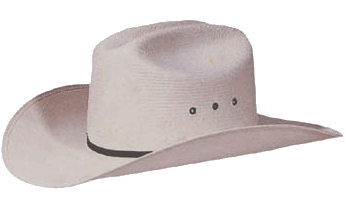 Sport plaatjes Rodeo 