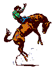 Sport plaatjes Rodeo 