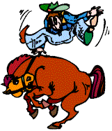 Sport plaatjes Rodeo 