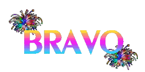 Tekst plaatjes Bravo 