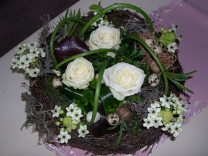 Bloemen Achtergronden 