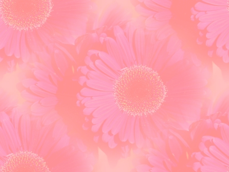Bloemen Achtergronden 