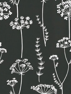 Bloemen Achtergronden 