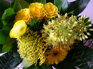 Bloemen Achtergronden 