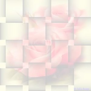 Bloemen Achtergronden 