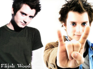 Achtergronden Elijah wood 