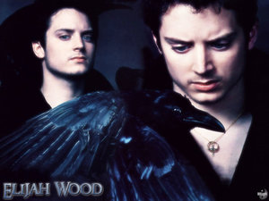 Achtergronden Elijah wood 