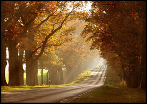 Achtergronden Herfst 