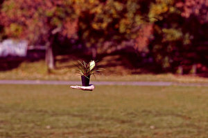 Achtergronden Herfst 