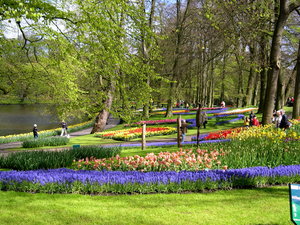 Achtergronden Keukenhof 