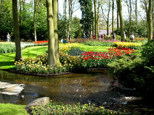 Achtergronden Keukenhof 