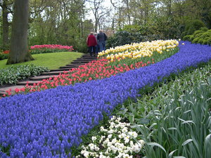 Achtergronden Keukenhof 