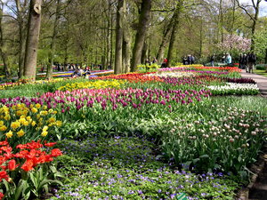 Achtergronden Keukenhof 