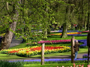 Achtergronden Keukenhof 