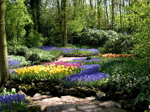 Achtergronden Keukenhof 