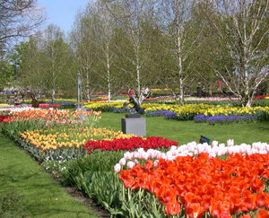 Achtergronden Keukenhof Keukenhof Bloemen