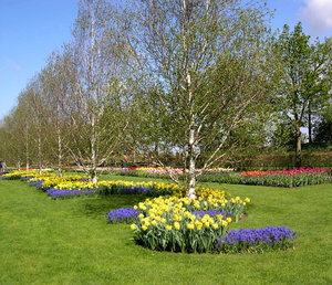 Achtergronden Keukenhof 