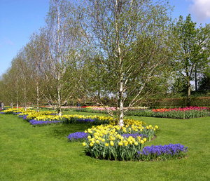 Achtergronden Keukenhof 