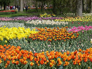 Achtergronden Keukenhof 