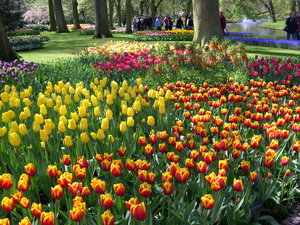 Achtergronden Keukenhof 