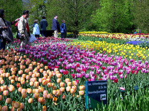 Achtergronden Keukenhof 