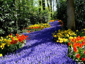 Achtergronden Keukenhof 