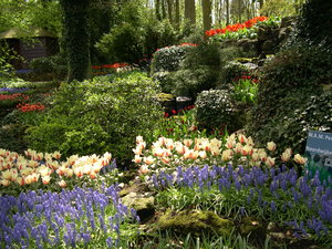 Achtergronden Keukenhof 