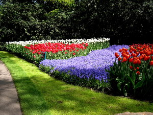 Achtergronden Keukenhof 