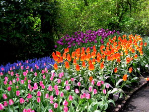 Achtergronden Keukenhof 