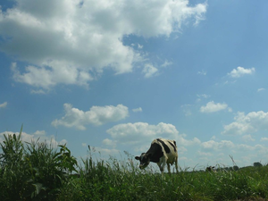 Achtergronden Lucht 