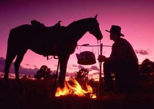 Paarden Achtergronden 