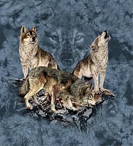 Achtergronden Wolves 