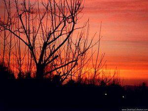 Achtergronden Zonsondergang 