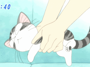 Anime Chi cat 