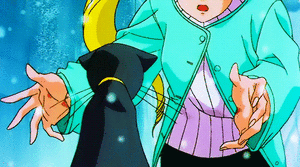 Anime Sailor moon 