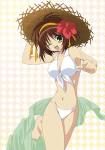 Anime The melancholy of haruhi suzumiya 