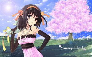 Anime The melancholy of haruhi suzumiya 