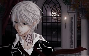 Anime Vampire knight 