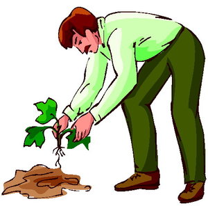 Cliparts Activiteiten Tuinieren Boom Planten
